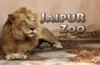jaipur zoo