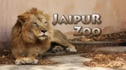 jaipur zoo