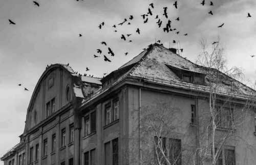 The Ararat Lunatic Asylum