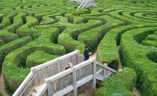 Longleat Hedge Maze