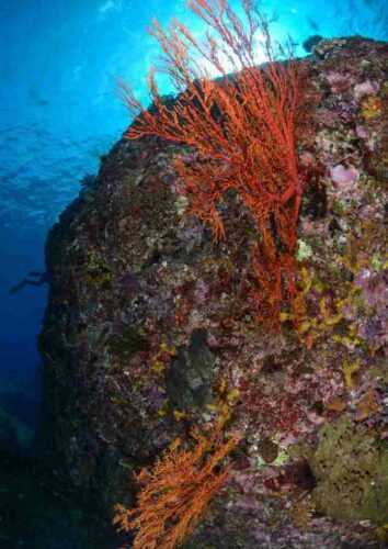 Yonaguni Monument sea