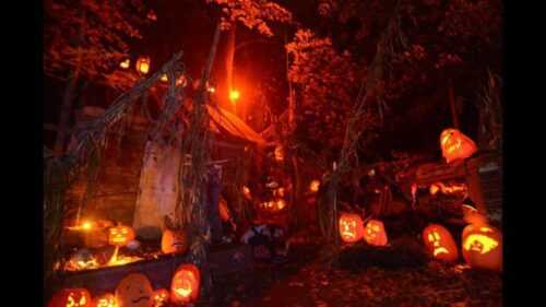 markoff's haunted forest photo