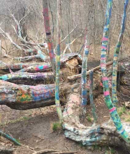 Hippie Tree pics