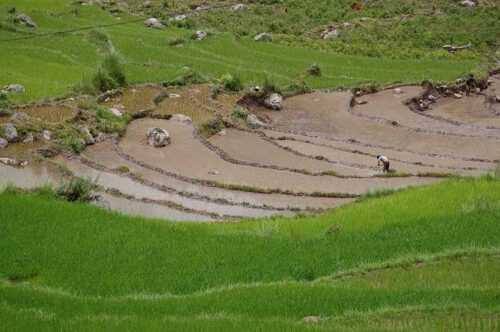 Trekking-in-Bhutan-photos