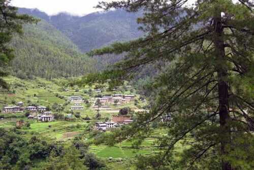 Trekking-in-Bhutan-pixs