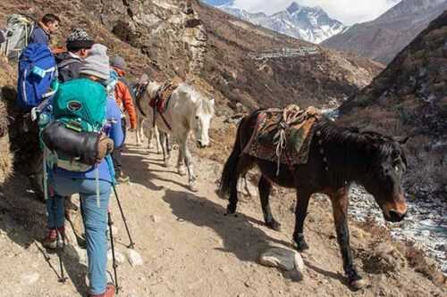 Trekking-nepal-pics