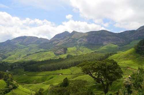 Best Places to Visit in August in India - Munnar-pic