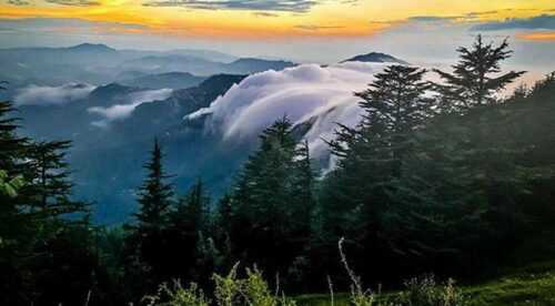 Mashobra  Places to Visit in Himachal Pradesh