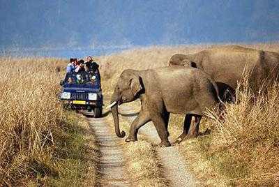 Rajaji National Park places to visit in dehradun