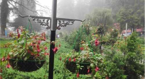 Company garden - places to visit in Mussoorie 