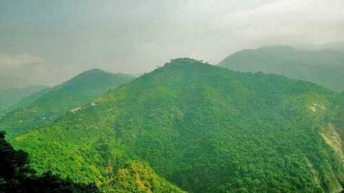 palampur Places to Visit in Himachal Pradesh