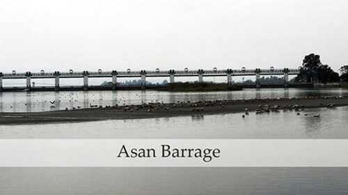 Assan Barrage Dehradun Travel Guide