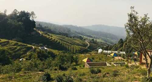 Chaubatia Gardens Places to Visit in Ranikhet 