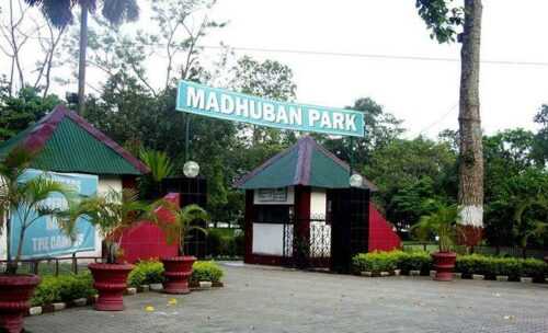 Darjeeling Madhuban Park