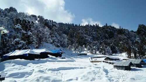 Buzz Eco Camp Chopta