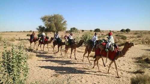 Jaisalmer Backpacker Safari