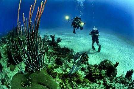 Scuba Diving Water Sports in Lakshadweep