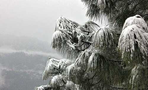 Shimla  Best Snow Places in India