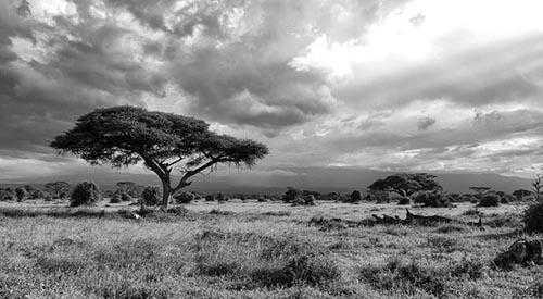 East Africa Dangerous Areas To Travel