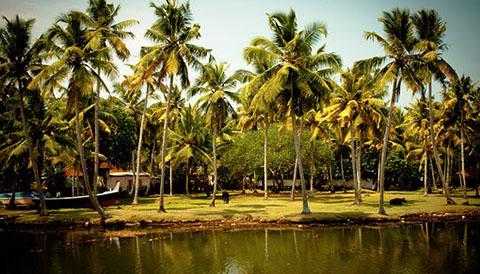 Backwater Experience in south india