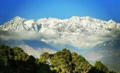 Palampur Best Places to Visit
