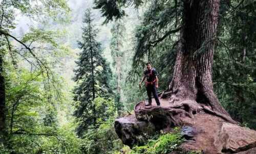 Top of Kheerganga Trek 