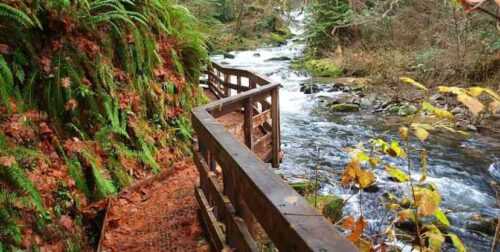 Hike Thundering Falls Trail