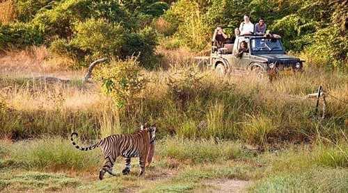 Kumbhalgarh Wildlife Sanctuary