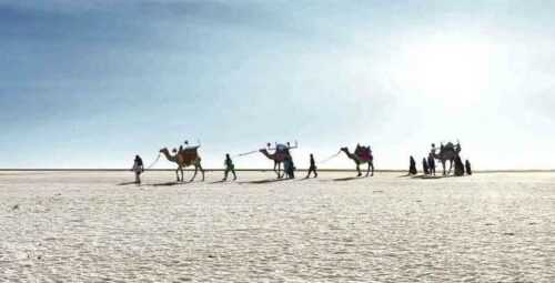 Rann of Kutch