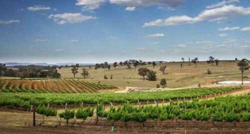 Hunter Valley – Finest Wines for Beautiful Evenings