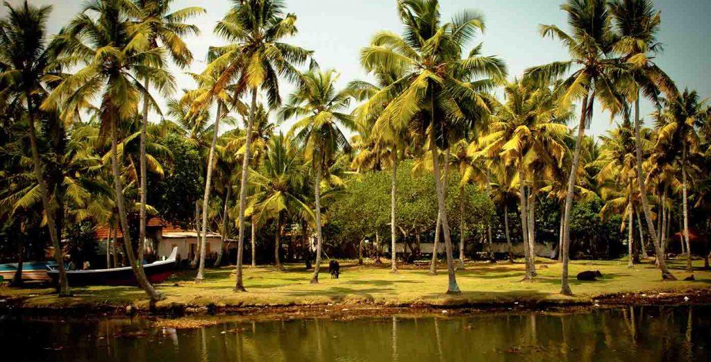 Kerala Itinerary