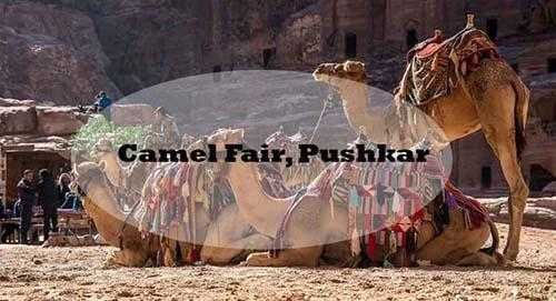 Camel Fair, Pushkar, Indian Festivals Celebrated by Foreigners