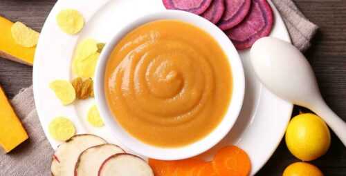 Travel Food For Babies | Travel Food Recipes For Babies - Mysterioustrip