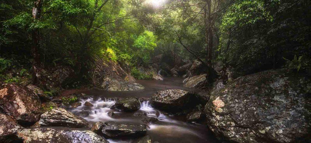 Barron Gorge National Park