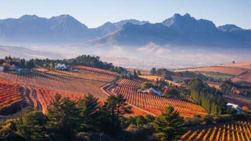 Cape Winelands, South Africa 