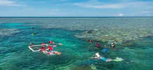 Great Barrier Reef Cruises & Scenic Flights