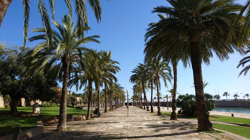 Traveling Palma de Mallorca