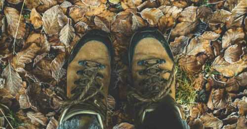 Cute Hiking Shoes For Women