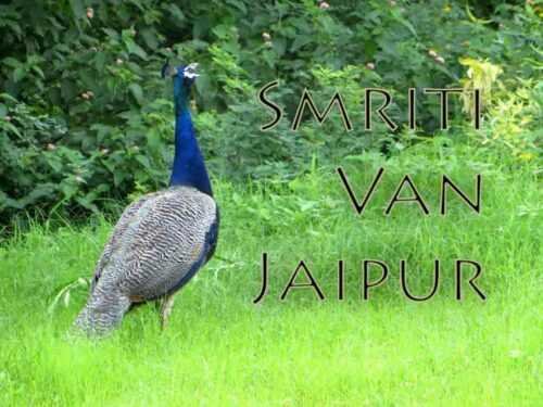 places for couples in jaipur Smriti Van 