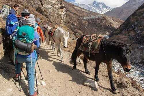 Trekking in Nepal