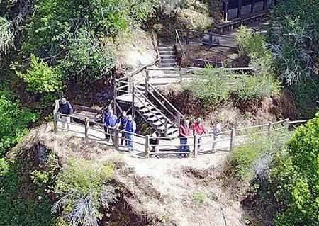 bohemian grove sacrifices