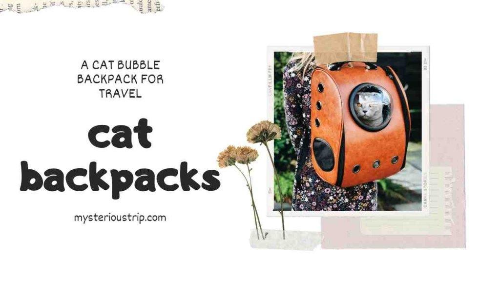 cat backpacks