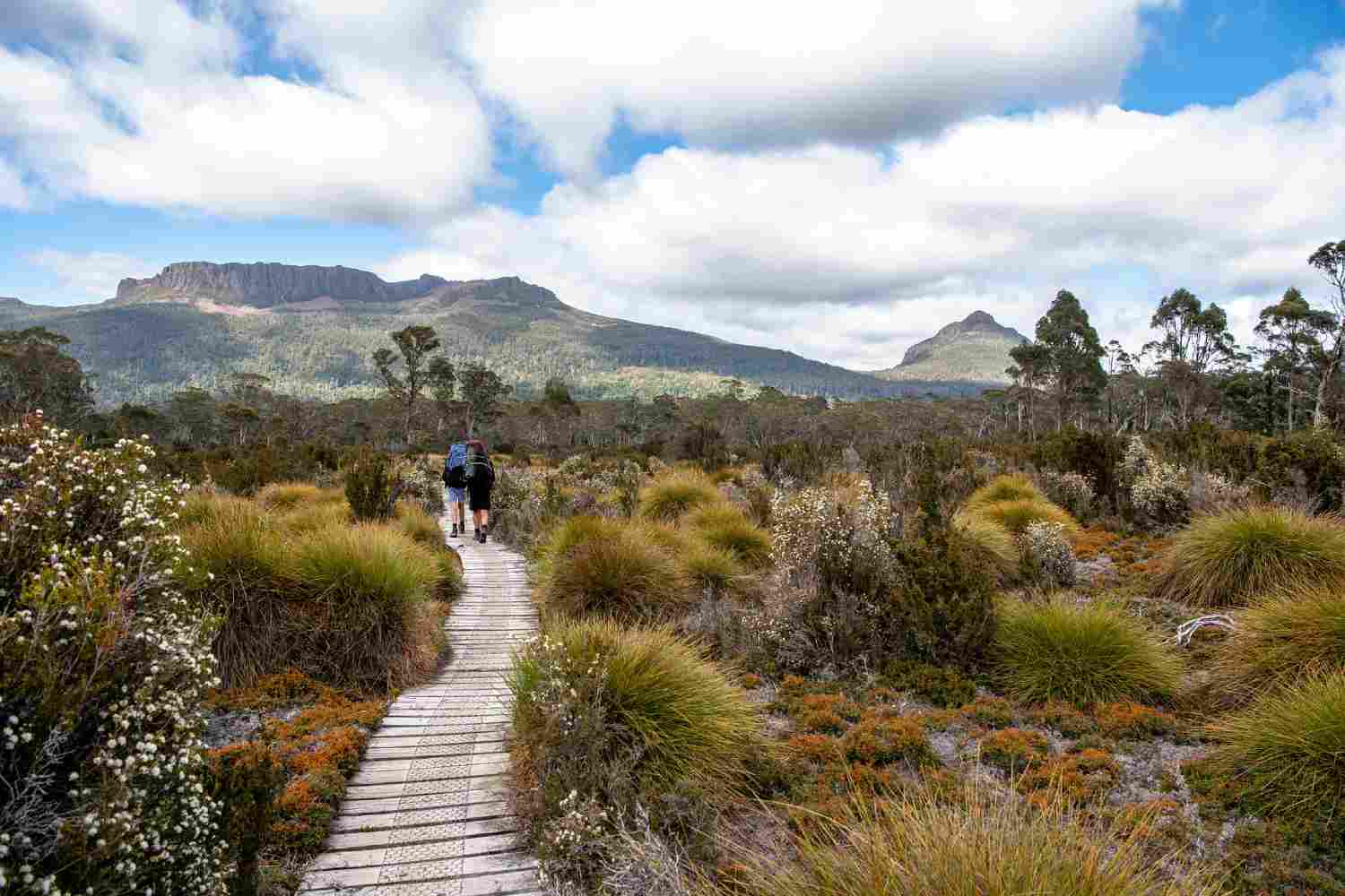 Things To Do In Tasmania