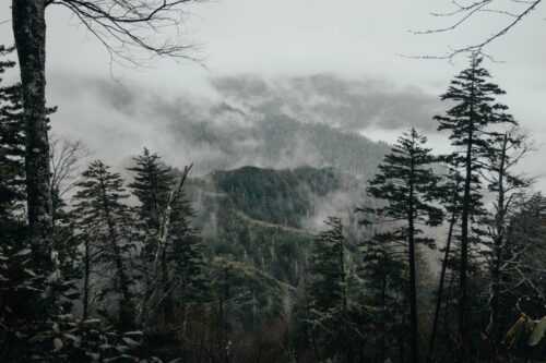 Trip to The Smoky Mountains