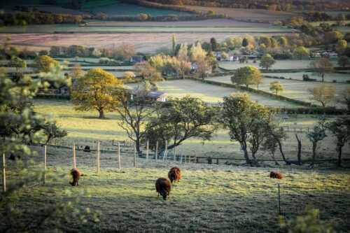 British Countryside