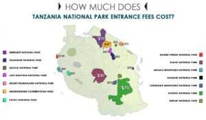 HOW MUCH DO TANZANIA NATIONAL PARK ENTRANCE FEES COST? - Mysterioustrip