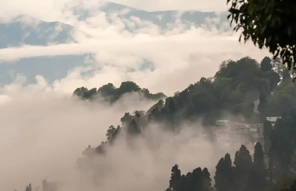 Darjeeling - Work from Mountains Darjeeling