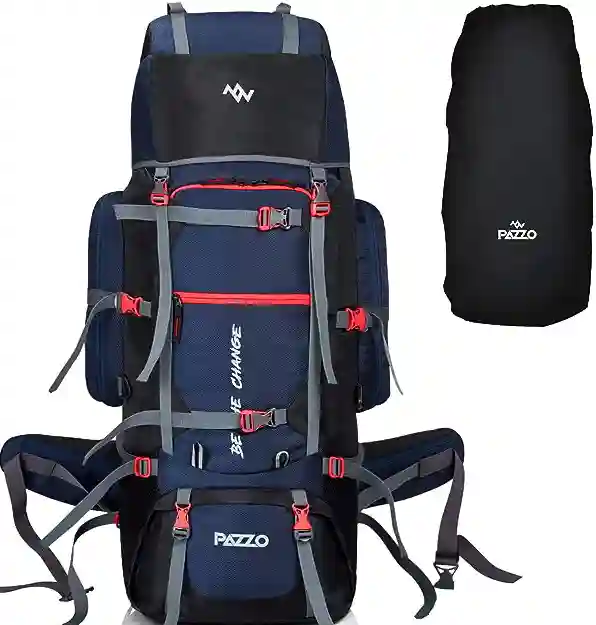 Pazzo Backpack Image - Best Travel Bag Brands in India