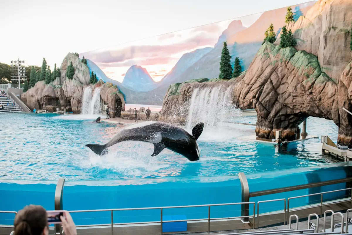6 Ways to Make the Most of Your Family Trip to SeaWorld Abu Dhabi