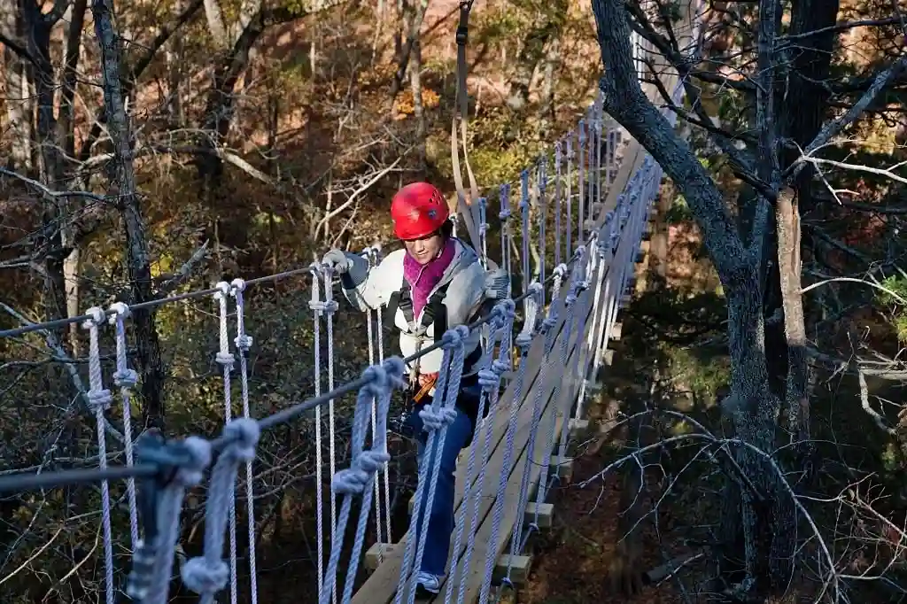 Treerunner Adventure Park Raleigh photos